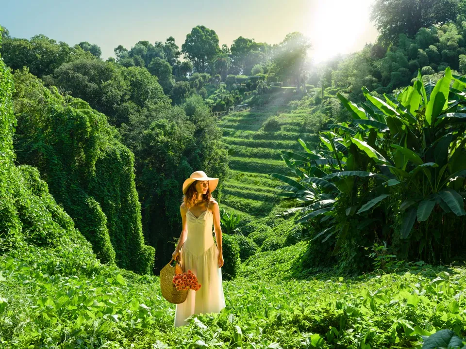 Wonders of World Flora in the Botanical Gardens of Ajara | Visit
