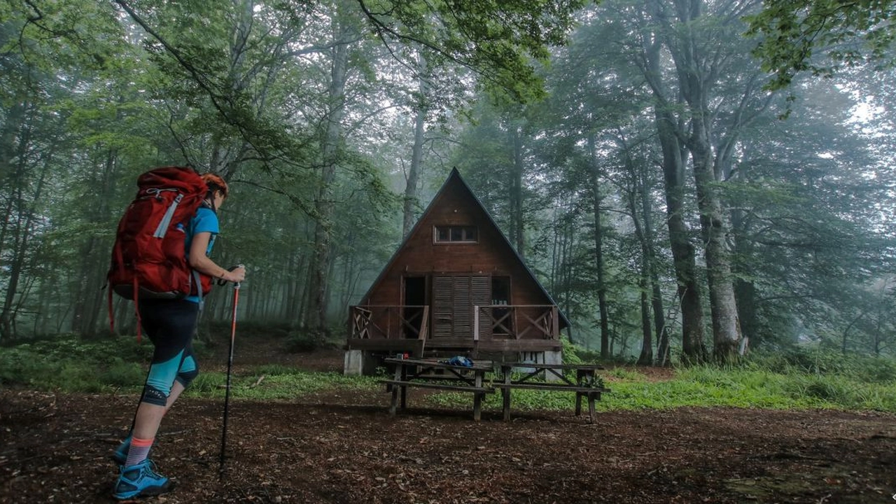 Camping Visit Batumi