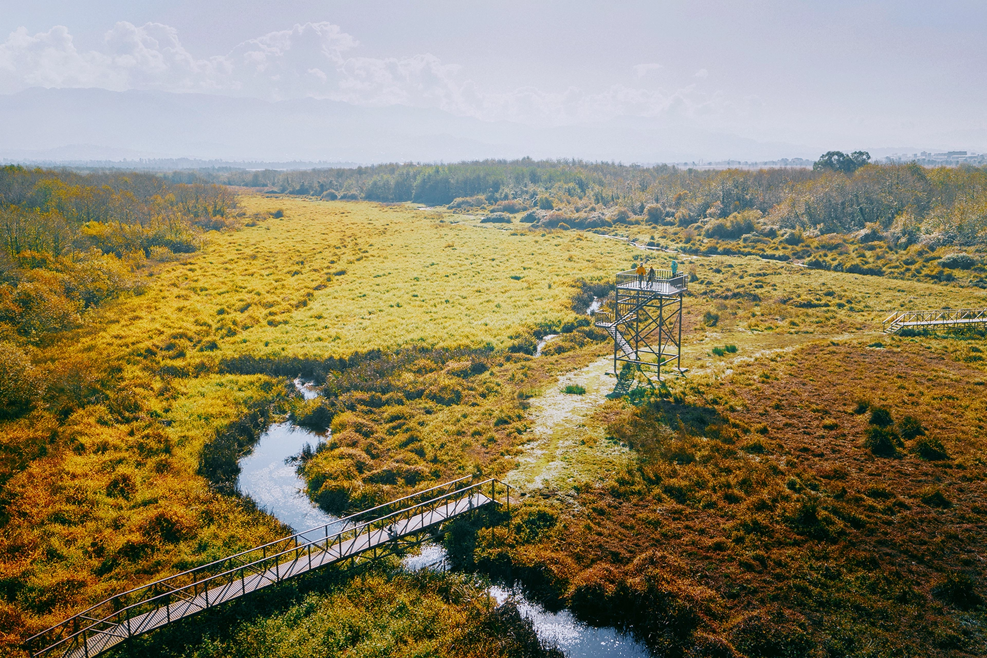 Kobuleti Protected Areas_Ispani Sphagnum Peatlands.jpg.jpg