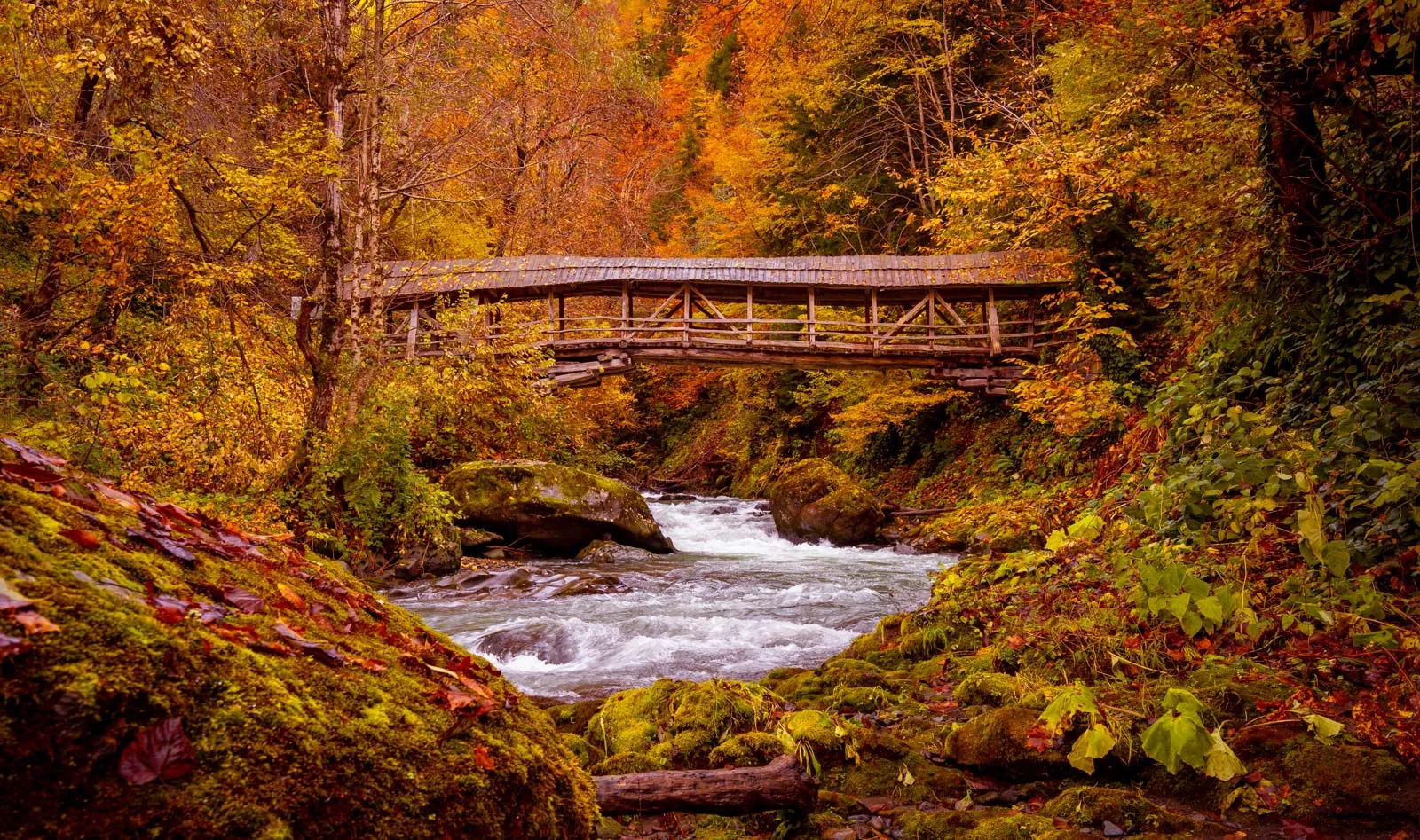 Khabelashvilebi Bridge 3-2.jpg