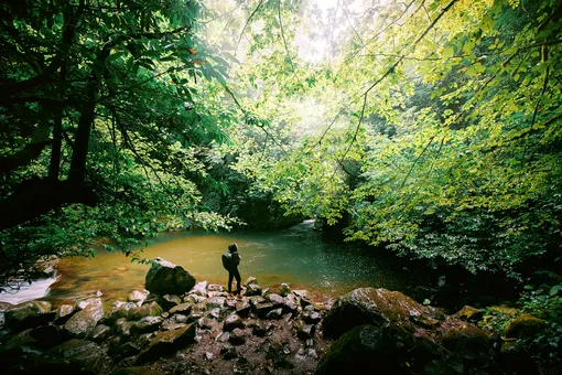 Mtirala National Park forest and river near Batumi Georgia