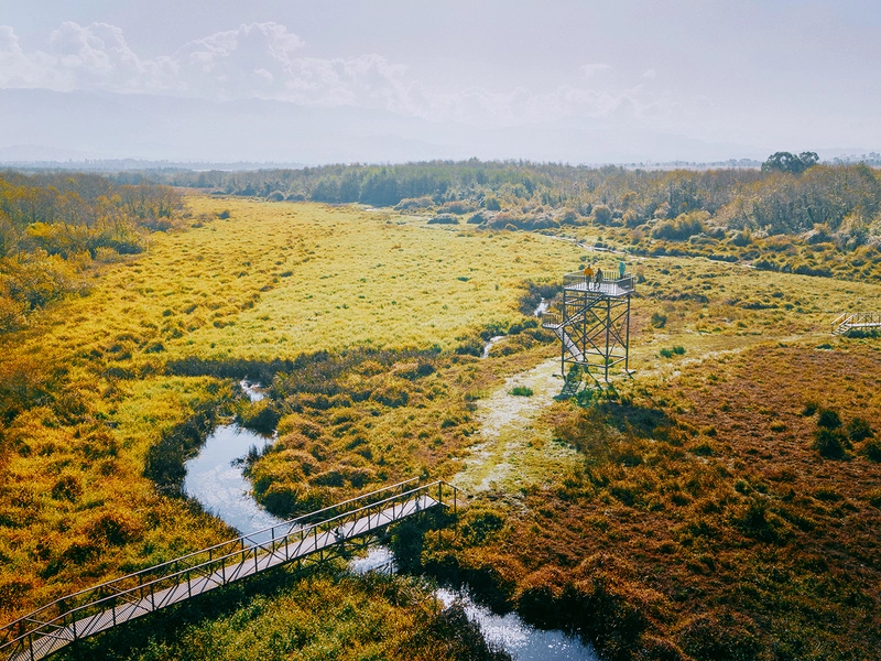 Kobuleti Protected Areas_Ispani Sphagnum Peatlands.jpg.jpg