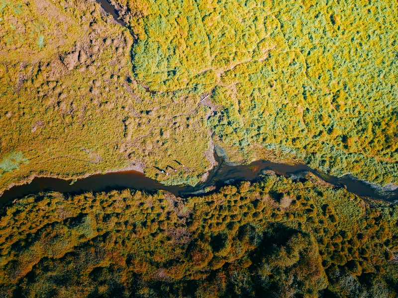 Kobuleti Protected Areas_Ispani Sphagnum Peatlands.jpg.jpg