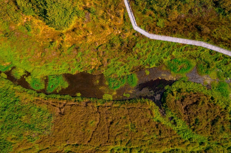 Kobulei protected area 1.jpg