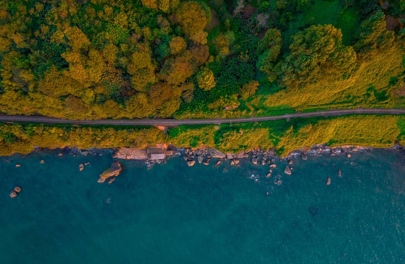 Tsikhisdziri Beach 4.jpg