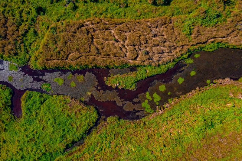 Kobulei protected area 4.jpg