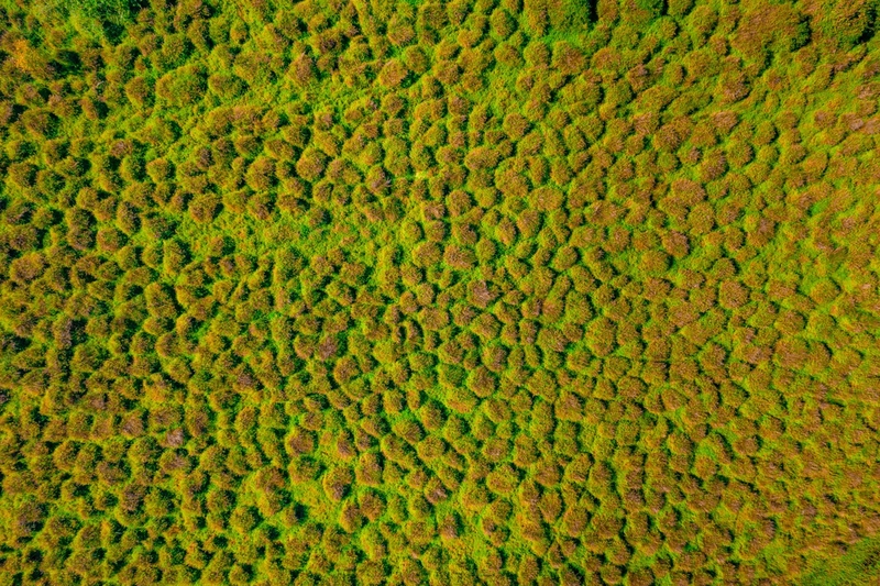 Kobulei protected area 7.jpg