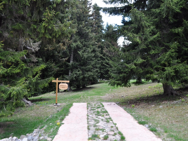 გოდერძის ალპური ბოტანიკური ბაღი (8).JPG