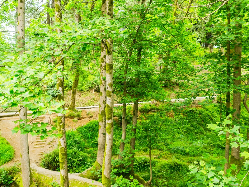 ბოტანიკური (2).jpg