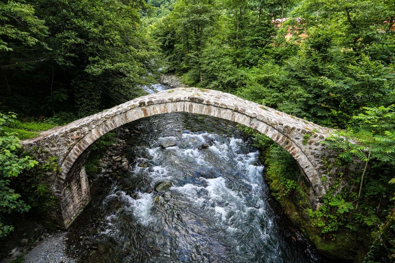 კინტრიში5.jpg